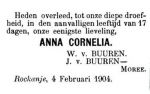 Buuren van Anna Cornelia-NBC-07-02-1904  (dochter 216).jpg